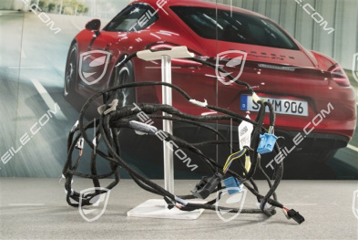 Wiązka przewodów, podsufitka, szklany dach Porsche