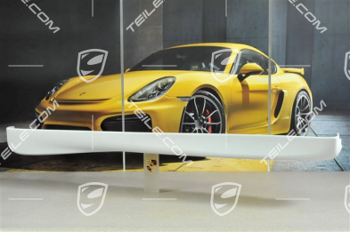 GT3 / Aero Kit Osłona progu, model 2000, R
