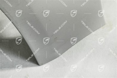 Wing, a little damaged, L