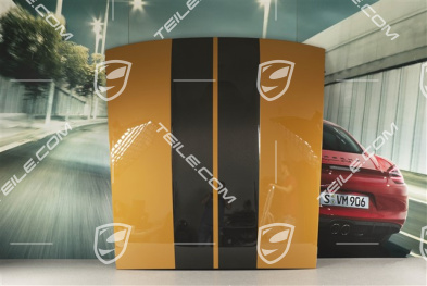 Turbo S Exclusive Series, CARBON, Poszycie dachu