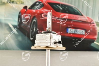 Xenon Glühbirne, D1S