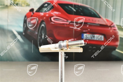 GTS 4.0 / GT4, Spark Plug