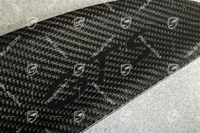 Blende, Tür, vorne, Carbon-Glänzend Schwarz, R