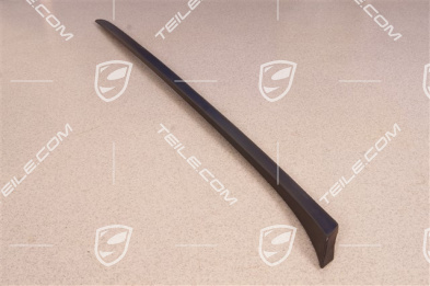 Windshield Water drain strip, A-pillar, black matte, L
