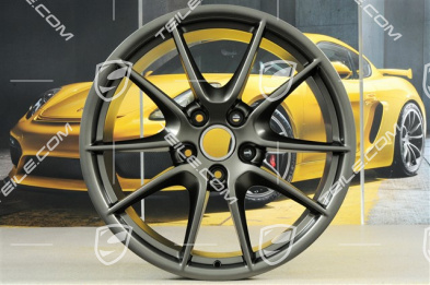 20" Felga, Carrera S III, platynowy-satynowy mat (Platinum-Seidenmatt), 9,5J x 20 ET45