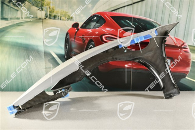 GT4 RS/Spyder RS Fender / Wing, R