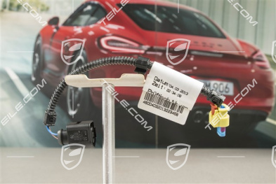 Wiring harness, side impact sensor, R