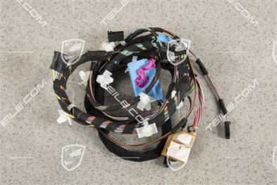 Wiring harness, Assembly frame, driver's door, Turbo/GT3, L