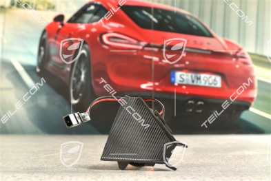 Cover with heating, Traffic Sign Recognition camera / PDLS+