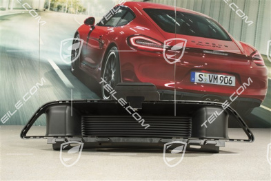 Sport Design, Front bumper Grille / Insert Cover, Black matte