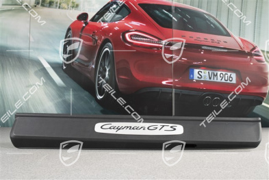Blenden/Einstiegleisten, ohne Beleuchtung, Edelstahl, "Cayman GTS", Satz, L+R