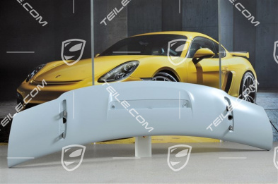GT3 rear spoiler / wing, upper part