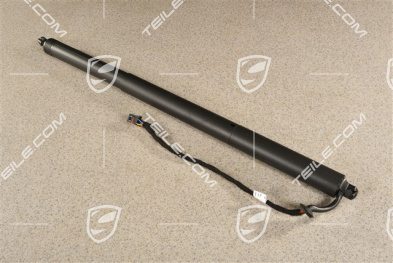 Damper cylinder Trunk / boot lid / automatic closing option / Powerlift