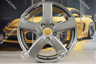 19" felga Cayenne Sport Classic II, 8,5J x 19 ET59, Platinum satin-matt