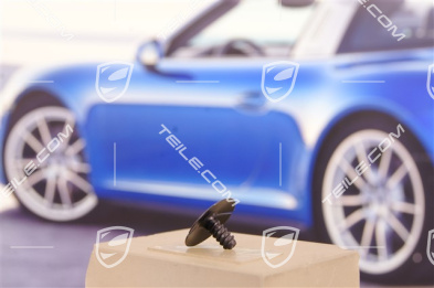 Plastic screw / mount