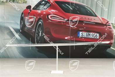 Trim strip for tailgate, Chromed