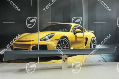 Sill cover, AeroKit / GT3, R