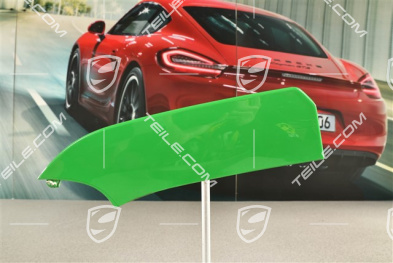Disc / cover for front bumper retaining frame, centre, ACC,  L