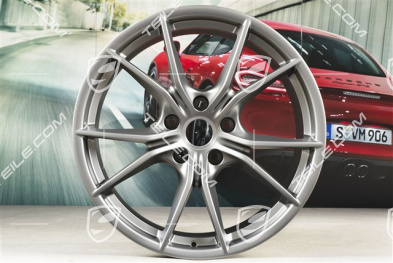 20" Felge Carrera S IV, 10J x 20 ET45, Platinum-Seidenmatt