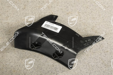 Rear light cover, outer, L