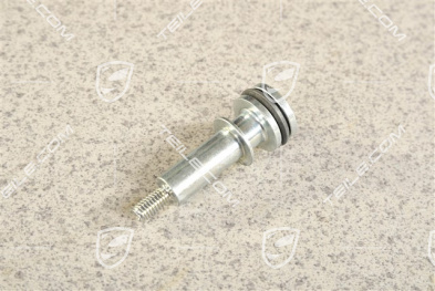 Screw for Timing Chain Guide Rail