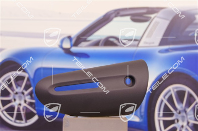 Blende, schwarz, Boxster Spyder / Cayman R / 991 GT2RS/GT3RS, R