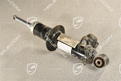 Stossdämpfer / Schwingungsdämpfer, HA, PASM / V8, L