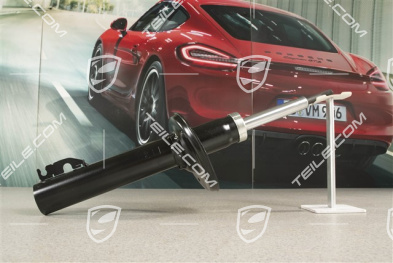 Stossdämpfer,  Cayman R, L=R