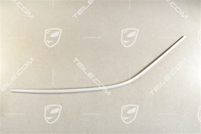 Roof edge strip, L